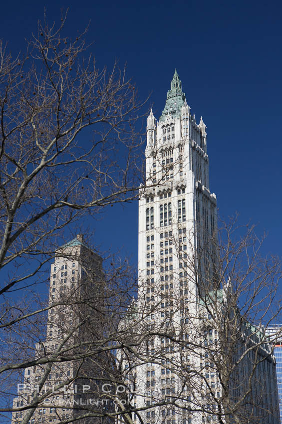 High rises tower over trees. Manhattan, New York City, USA, natural history stock photograph, photo id 11120