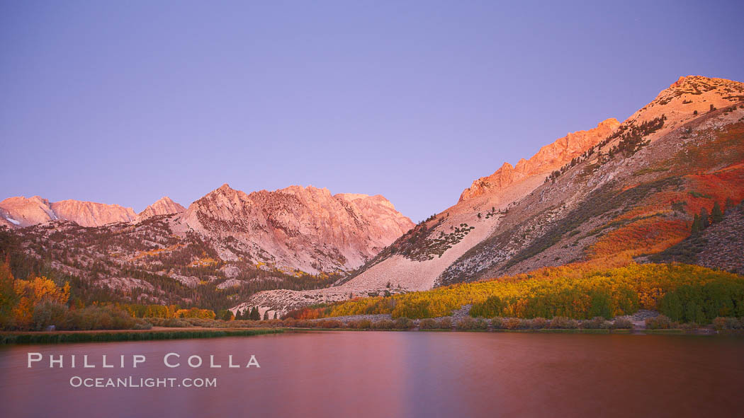 North Lake lit by alpenglow before sunrise, a three frame panorama, with groves of yellow and orange aspen trees on the side of Paiute Peak. Bishop Creek Canyon, Sierra Nevada Mountains, California, USA, natural history stock photograph, photo id 23324