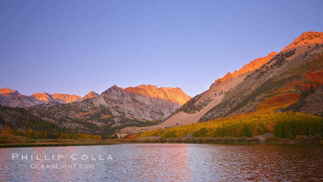 North Lake lit by alpenglow before sunrise, a three frame panorama, with groves of yellow and orange aspen trees on the side of Paiute Peak. Bishop Creek Canyon, Sierra Nevada Mountains, California, USA, natural history stock photograph, photo id 23355