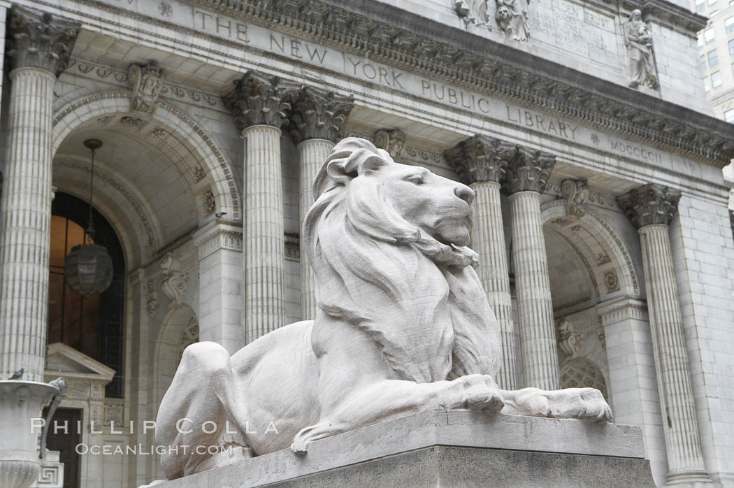 The stone lions Patience and Fortitude guard the entrance to the New York City Public Library. Manhattan, USA, natural history stock photograph, photo id 11155