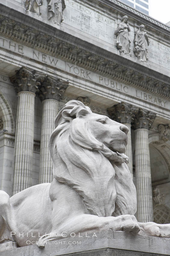 The stone lions Patience and Fortitude guard the entrance to the New York City Public Library. Manhattan, USA, natural history stock photograph, photo id 11157