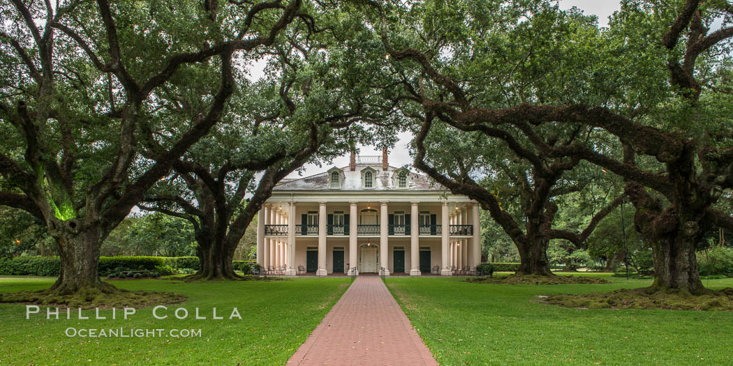 Oak Alley Plantation and its famous shaded tunnel of 300-year-old southern live oak trees (Quercus virginiana). The plantation is now designated as a National Historic Landmark, Vacherie, Louisiana