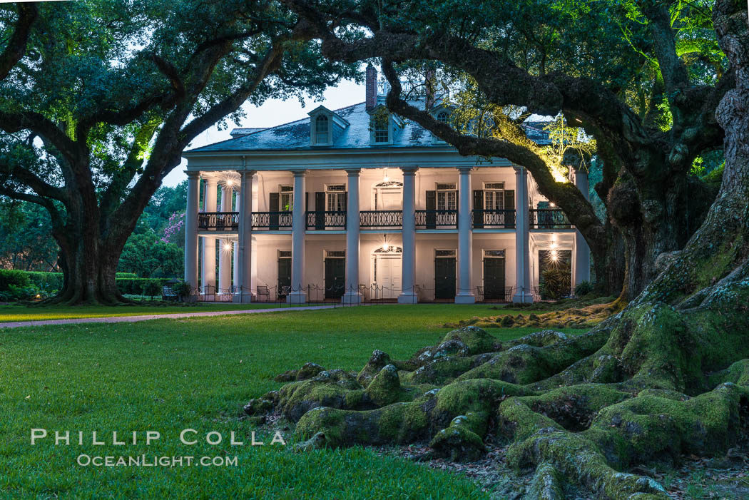 Oak Alley Plantation and its famous shaded tunnel of 300-year-old southern live oak trees (Quercus virginiana). The plantation is now designated as a National Historic Landmark, Vacherie, Louisiana