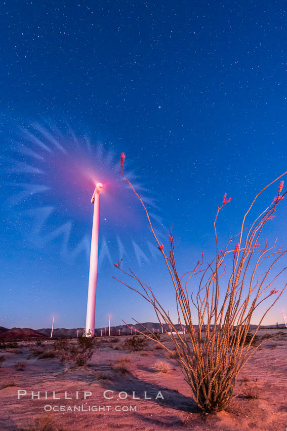 Ocotillo Express Wind Energy Projects, moving turbines lit by the rising sun, California, USA, natural history stock photograph, photo id 30242