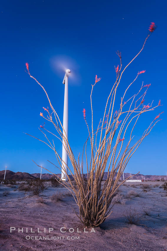 Ocotillo Express Wind Energy Projects, moving turbines lit by the rising sun, California, USA, natural history stock photograph, photo id 30244