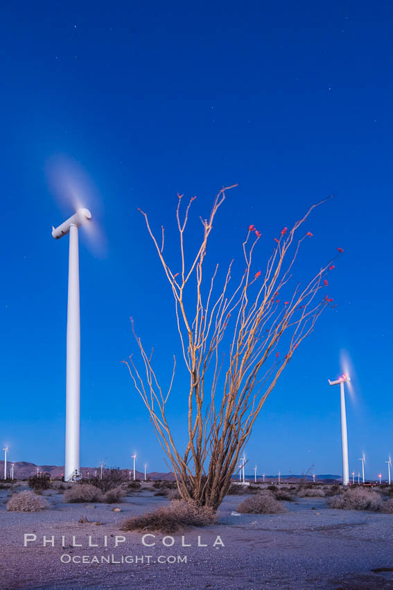 Ocotillo Express Wind Energy Projects, moving turbines lit by the rising sun, California, USA, natural history stock photograph, photo id 30243