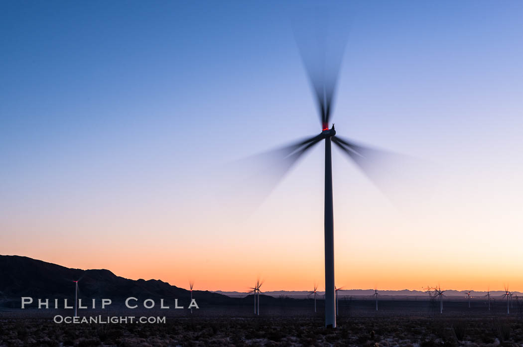 Ocotillo Express Wind Energy Projects, moving turbines lit by the rising sun, California, USA, natural history stock photograph, photo id 30247