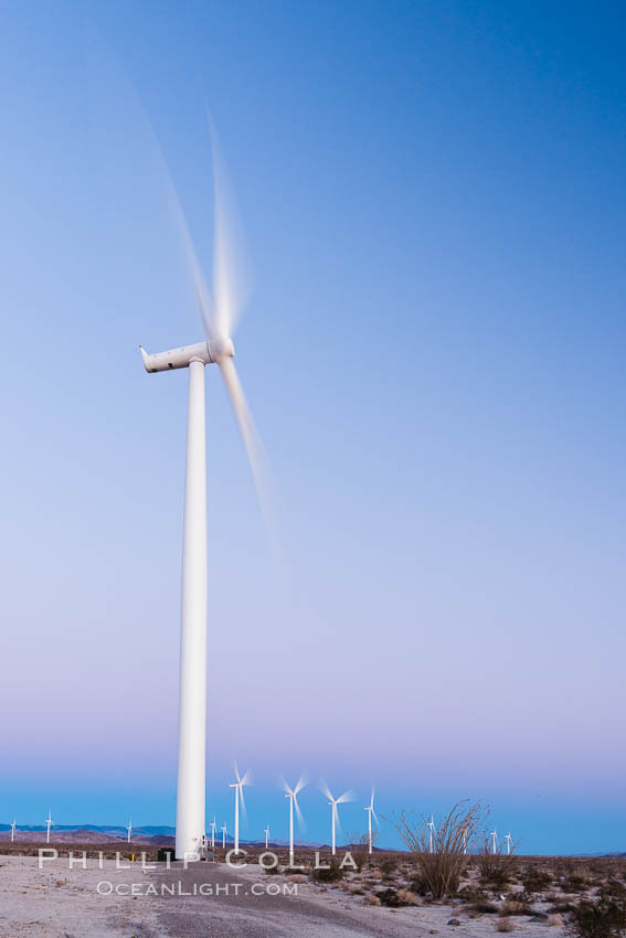 Ocotillo Express Wind Energy Projects, moving turbines lit by the rising sun, California, USA, natural history stock photograph, photo id 30251