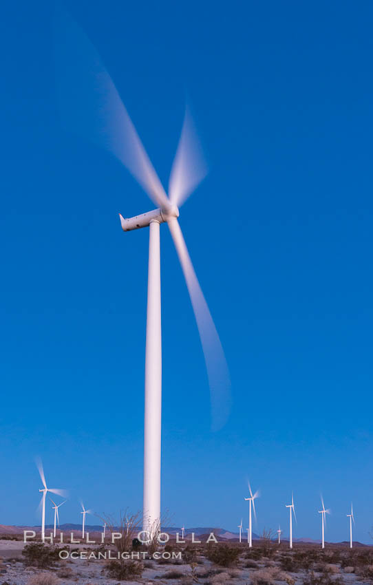 Ocotillo Express Wind Energy Projects, moving turbines lit by the rising sun, California, USA, natural history stock photograph, photo id 30245