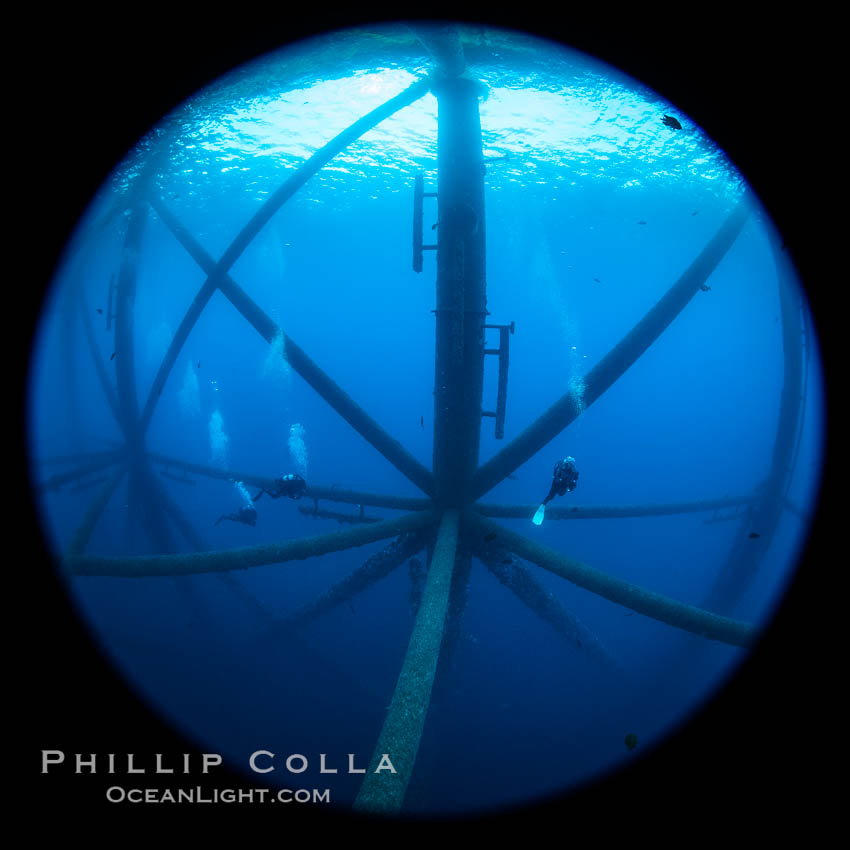 Oil Rig Ellen and Elly, Underwater Structure. Long Beach, California, USA, natural history stock photograph, photo id 34674