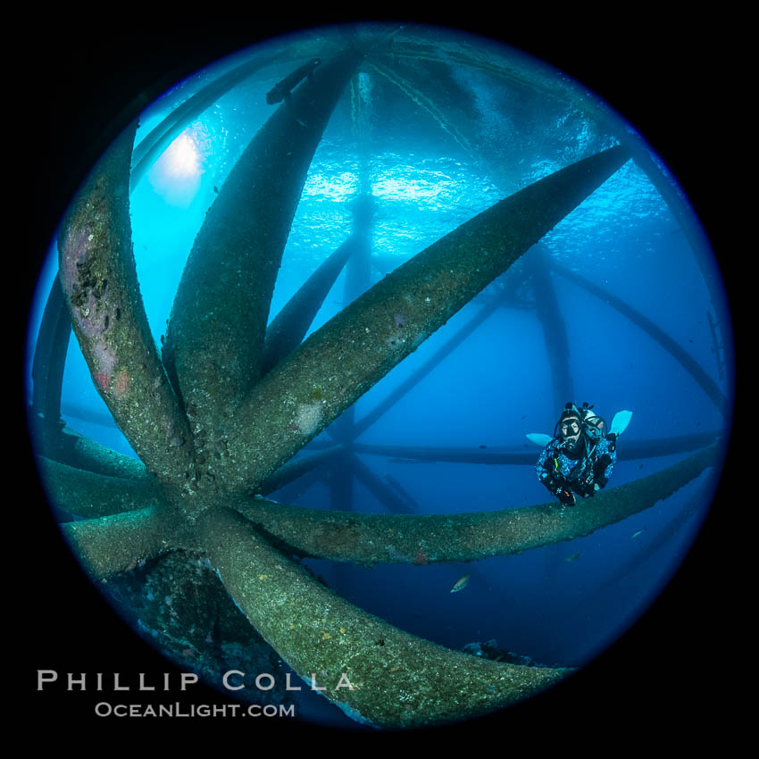 Oil Rig Ellen and Elly, Underwater Structure. Long Beach, California, USA, natural history stock photograph, photo id 34659