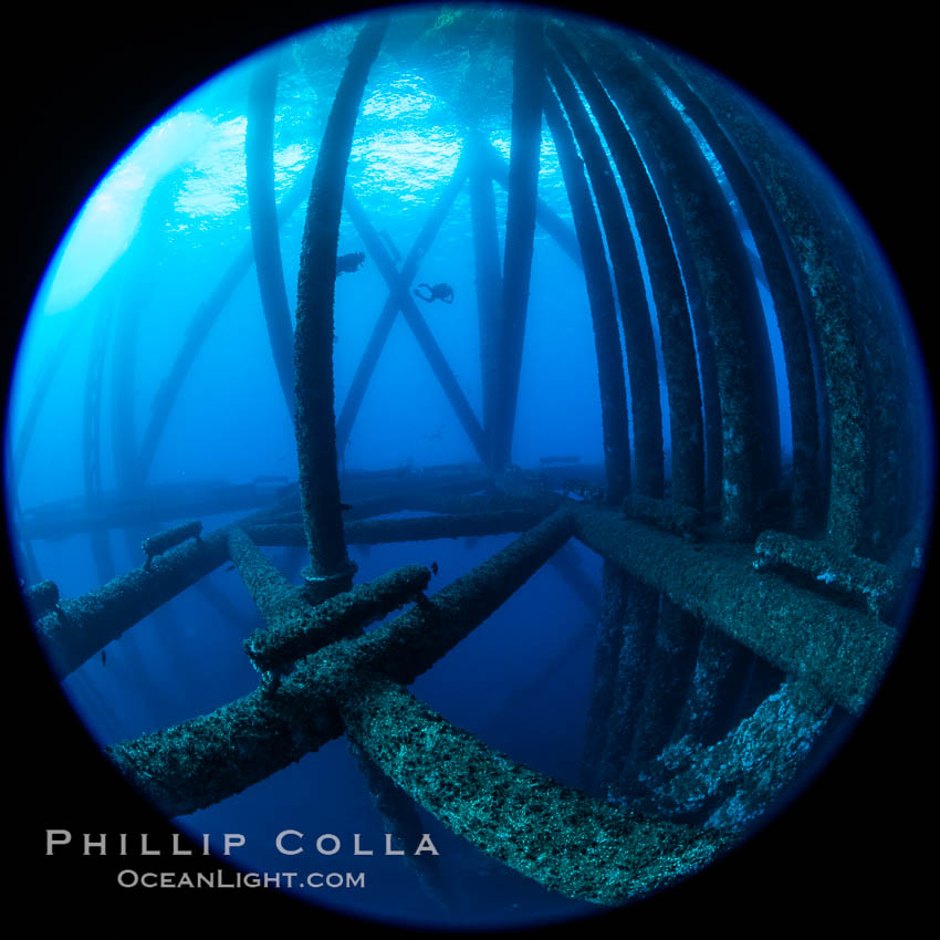 Oil Rig Eureka, Underwater Structure. Long Beach, California, USA, natural history stock photograph, photo id 34663