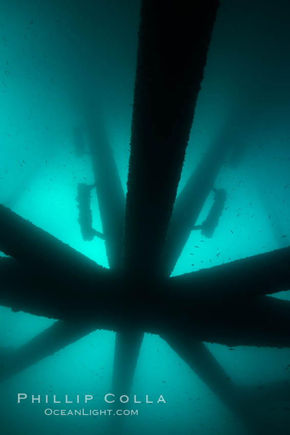 Oil Rig Eureka, Underwater Structure. Long Beach, California, USA, natural history stock photograph, photo id 31081