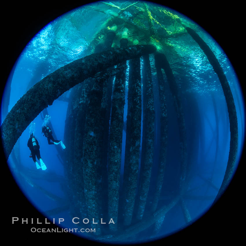 Oil Rig Eureka, Underwater Structure. Long Beach, California, USA, natural history stock photograph, photo id 34661