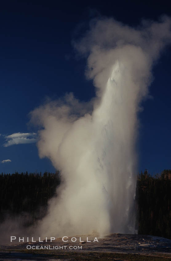 Old Faithful geyser at peak eruption. Upper Geyser Basin, Yellowstone National Park, Wyoming, USA, natural history stock photograph, photo id 07194