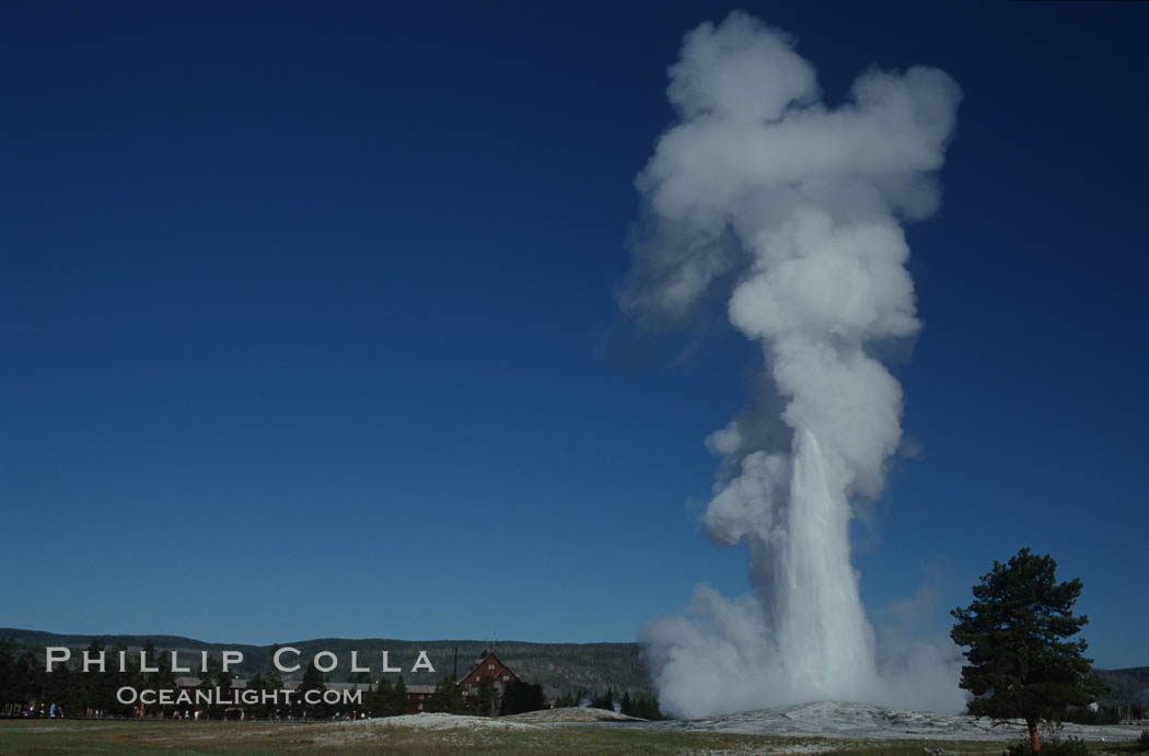 Old Faithful geyser, peak eruption. Upper Geyser Basin, Yellowstone National Park, Wyoming, USA, natural history stock photograph, photo id 07180