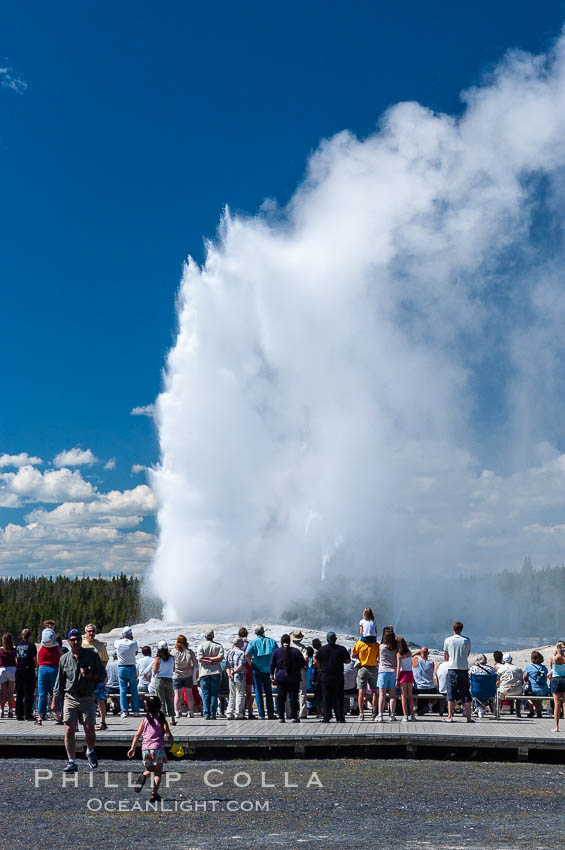 A crowd gathers to watch the worlds most famous geyser, Old Faithful, in Yellowstone National Park. Upper Geyser Basin, Wyoming, USA, natural history stock photograph, photo id 07196