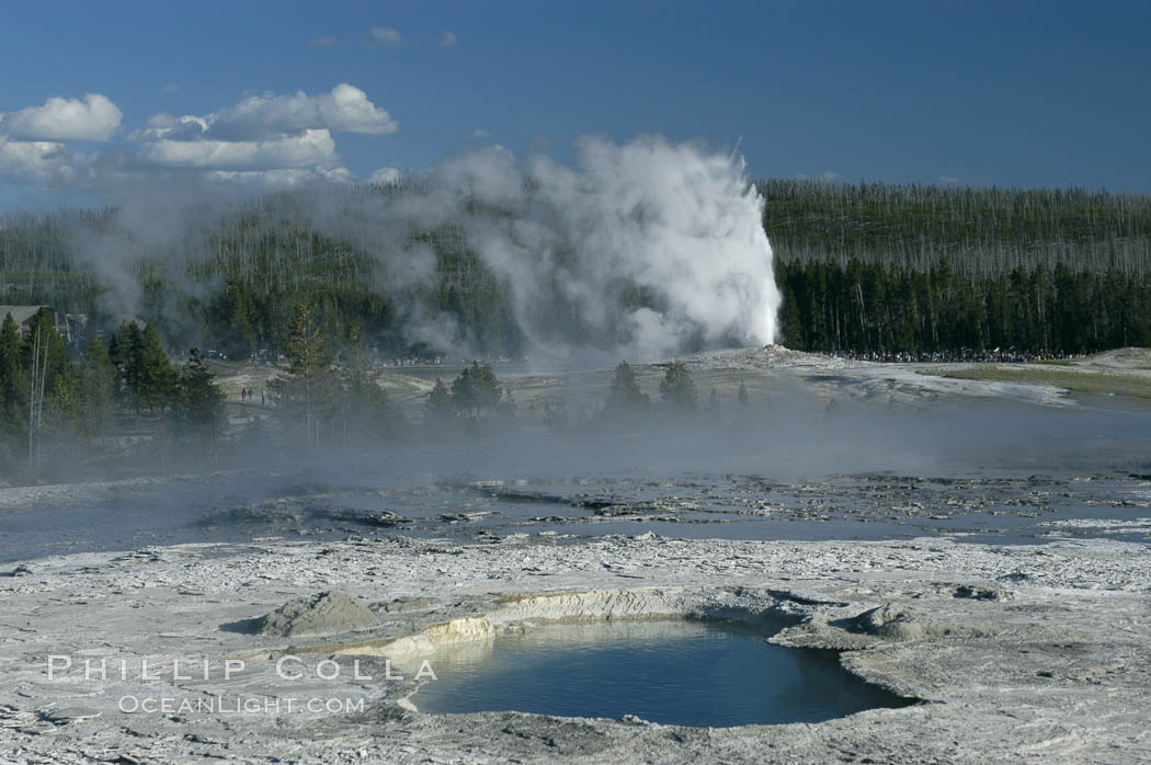 Old Faithful Geyser erupting, viewed from Geyser Hill with unidentified pool in foreground. Upper Geyser Basin, Yellowstone National Park, Wyoming, USA, natural history stock photograph, photo id 07236