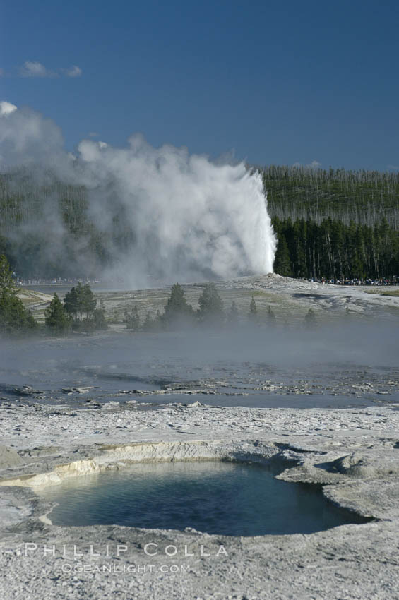 Old Faithful Geyser erupting, viewed from Geyser Hill with unidentified pool in foreground. Upper Geyser Basin, Yellowstone National Park, Wyoming, USA, natural history stock photograph, photo id 07235