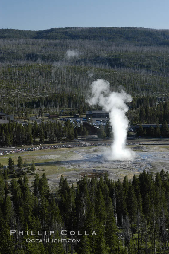 Old Faithful geyser at peak eruption, crowd viewing and Old Faithful Lodge, viewed from Lookout Point. Upper Geyser Basin, Yellowstone National Park, Wyoming, USA, natural history stock photograph, photo id 07181