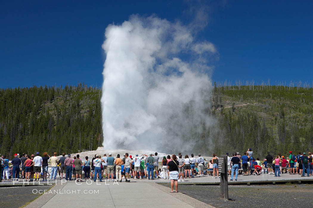 A crowd enjoys watching Old Faithful geyser at peak eruption. Upper Geyser Basin, Yellowstone National Park, Wyoming, USA, natural history stock photograph, photo id 13365