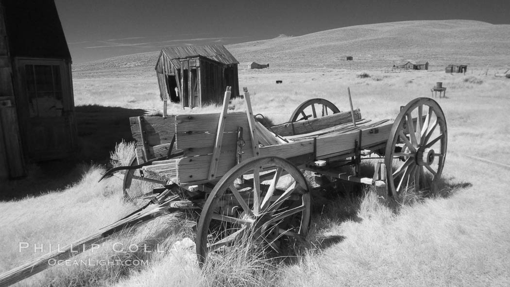 Old wagon wasting away., natural history stock photograph, photo id 23313