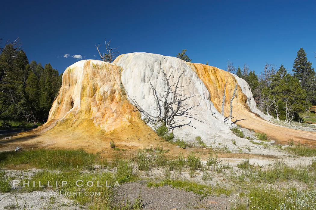 Orange Spring Mound.  Many years of mineral deposition has built up Orange Spring Mound, part of the Mammoth Hot Springs complex. Yellowstone National Park, Wyoming, USA, natural history stock photograph, photo id 13614