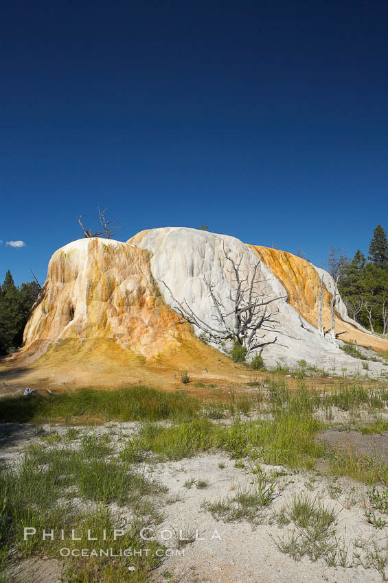 Orange Spring Mound.  Many years of mineral deposition has built up Orange Spring Mound, part of the Mammoth Hot Springs complex. Yellowstone National Park, Wyoming, USA, natural history stock photograph, photo id 13615