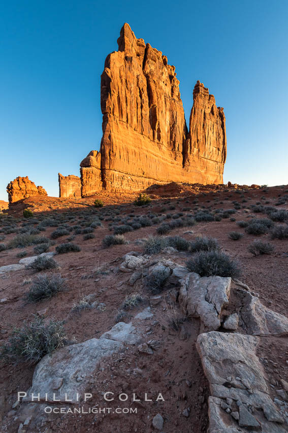 The Organ at sunrise, Courthouse Towers, Arches National Park. Utah, USA, natural history stock photograph, photo id 37859