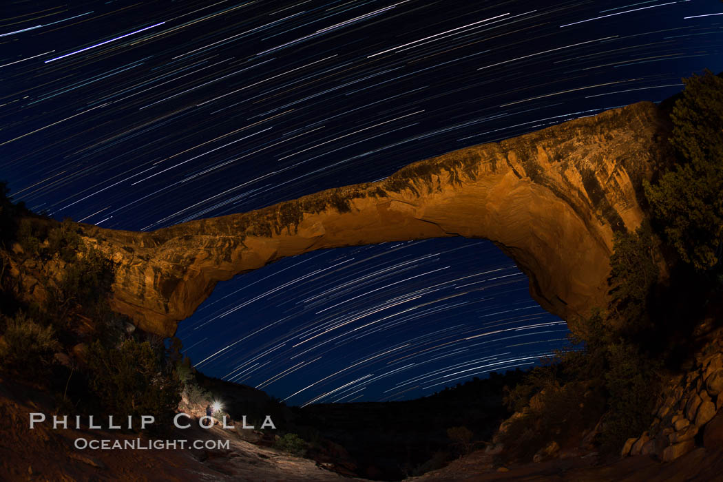 Owachomo Bridge and Star Trails, at night.  Owachomo Bridge, a natural stone bridge standing 106' high and spanning 130' wide,stretches across a canyon with the Milky Way crossing the night sky. Natural Bridges National Monument, Utah, USA, natural history stock photograph, photo id 28550