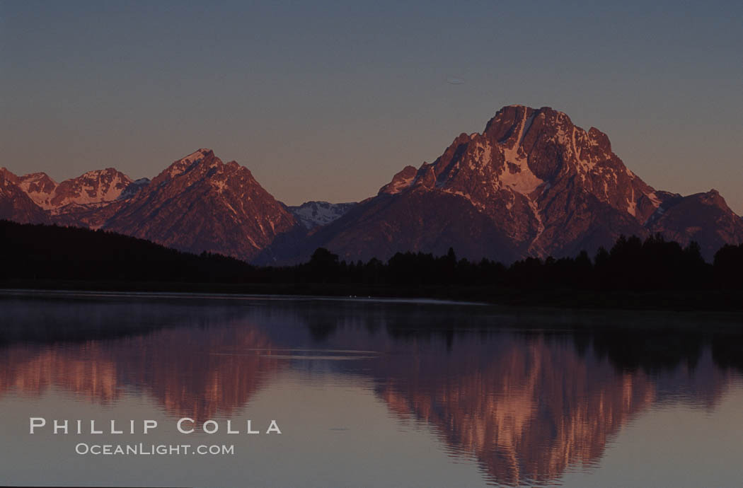 Mount Moran in the Teton Range is reflected at sunrise in a sidewater of the Snake River at Oxbow Bend, summer. Grand Teton National Park, Wyoming, USA, natural history stock photograph, photo id 07389