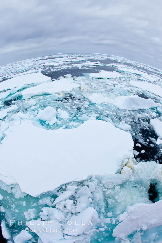 Pack ice and brash ice fills the Weddell Sea, near the Antarctic Peninsula.  This pack ice is a combination of broken pieces of icebergs, sea ice that has formed on the ocean., natural history stock photograph, photo id 24918