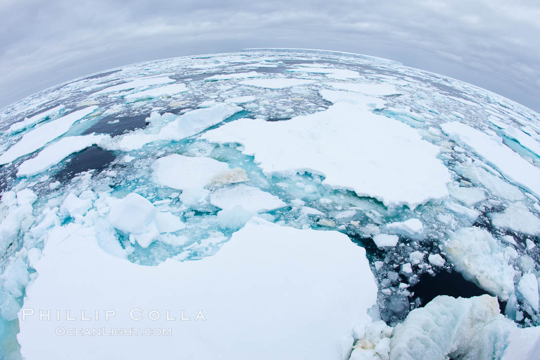 Pack ice and brash ice fills the Weddell Sea, near the Antarctic Peninsula.  This pack ice is a combination of broken pieces of icebergs, sea ice that has formed on the ocean. Southern Ocean, natural history stock photograph, photo id 24791