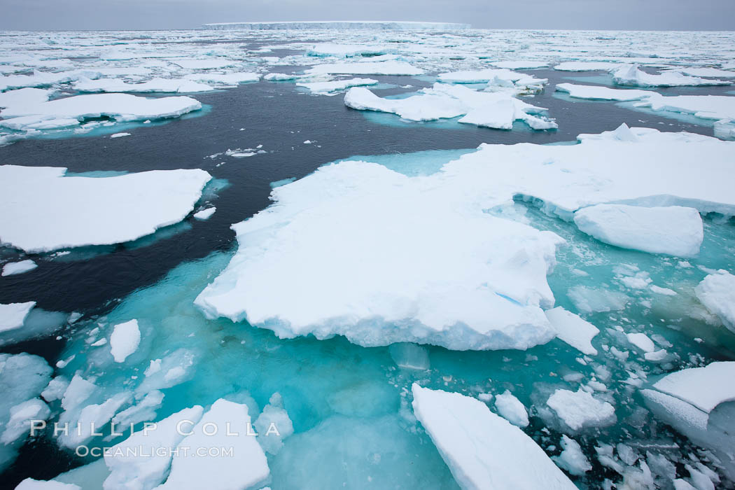 Pack ice, a combination of sea ice and pieces of icebergs, Weddell Sea