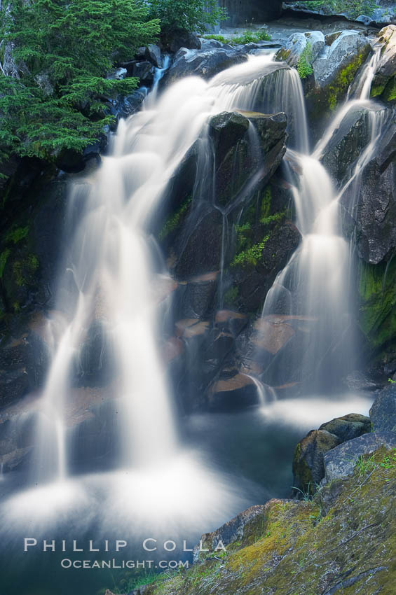 Paradise Falls tumble over rocks in Paradise Creek. Mount Rainier National Park, Washington, USA, natural history stock photograph, photo id 13865
