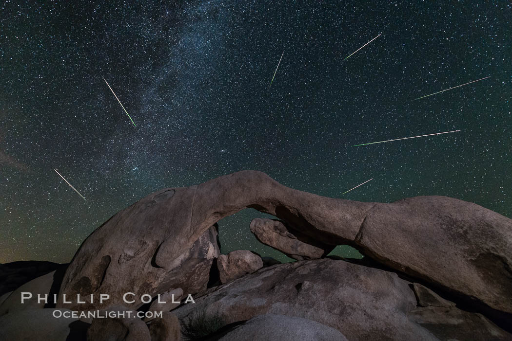 Perseid Meteor Shower over Arch Rock, Joshua Tree National Park, Aug 13, 2014. California, USA, natural history stock photograph, photo id 31144