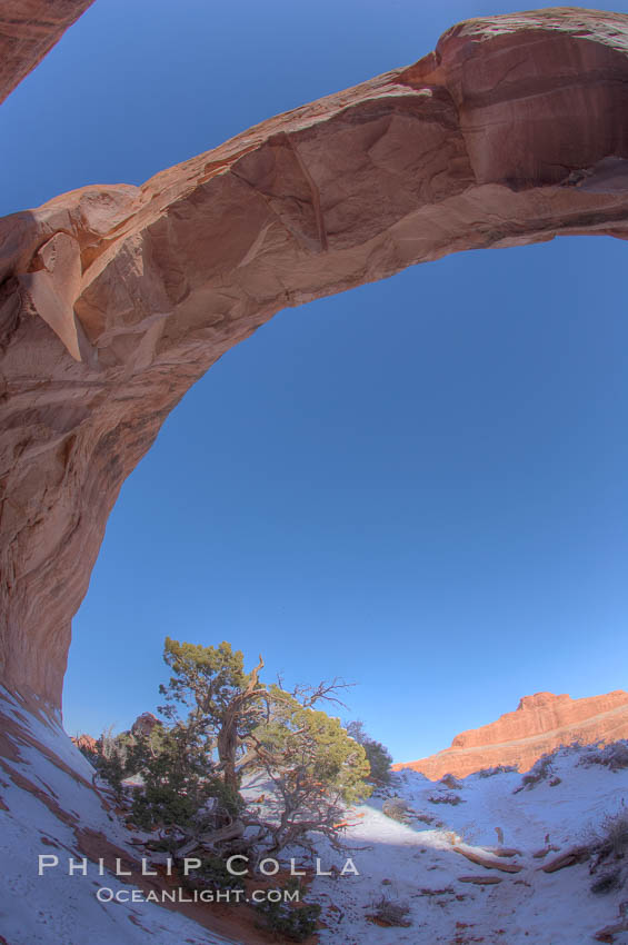 Pine Tree Arch. Arches National Park, Utah, USA, natural history stock photograph, photo id 18185