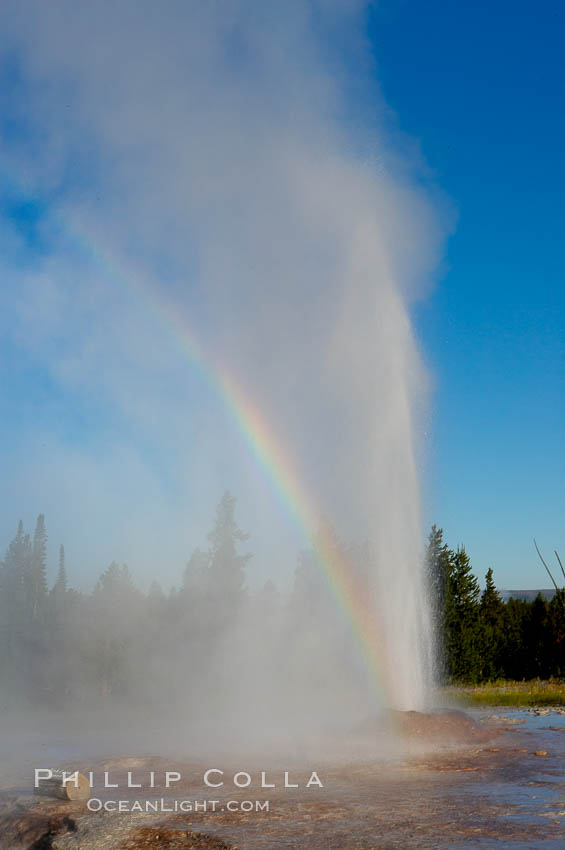 A rainbow appears in the spray of Pink Cone Geyser. Pink Cone Geyser reaches 30 feet in height, and has highly variable interval and duration. It is a cone-type geyser and its cone has a pinkish tint due to manganese oxide in it. Firehole Lake Drive, Lower Geyser Basin, Yellowstone Park, Yellowstone National Park, Wyoming