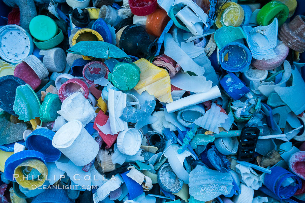 Plastic Debris, Sorted and Cataloged for Study, Clipperton Island. France, natural history stock photograph, photo id 33106