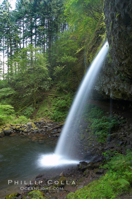 Ponytail Falls, where Horsetail Creeks drops 100 feet over an overhang below which hikers can walk. Columbia River Gorge National Scenic Area, Oregon, USA, natural history stock photograph, photo id 19338