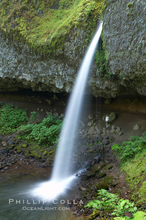Ponytail Falls, where Horsetail Creeks drops 100 feet over an overhang below which hikers can walk. Columbia River Gorge National Scenic Area, Oregon, USA, natural history stock photograph, photo id 19342