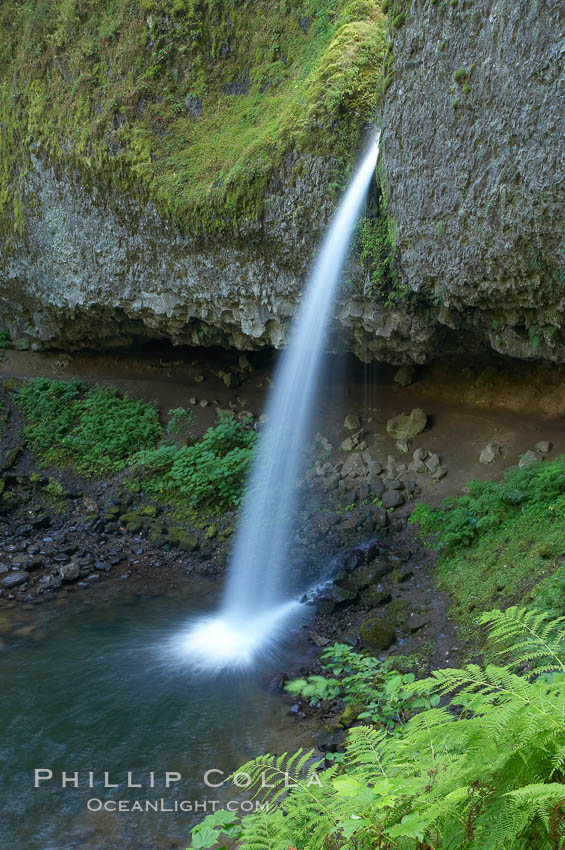 Ponytail Falls, where Horsetail Creeks drops 100 feet over an overhang below which hikers can walk. Columbia River Gorge National Scenic Area, Oregon, USA, natural history stock photograph, photo id 19336