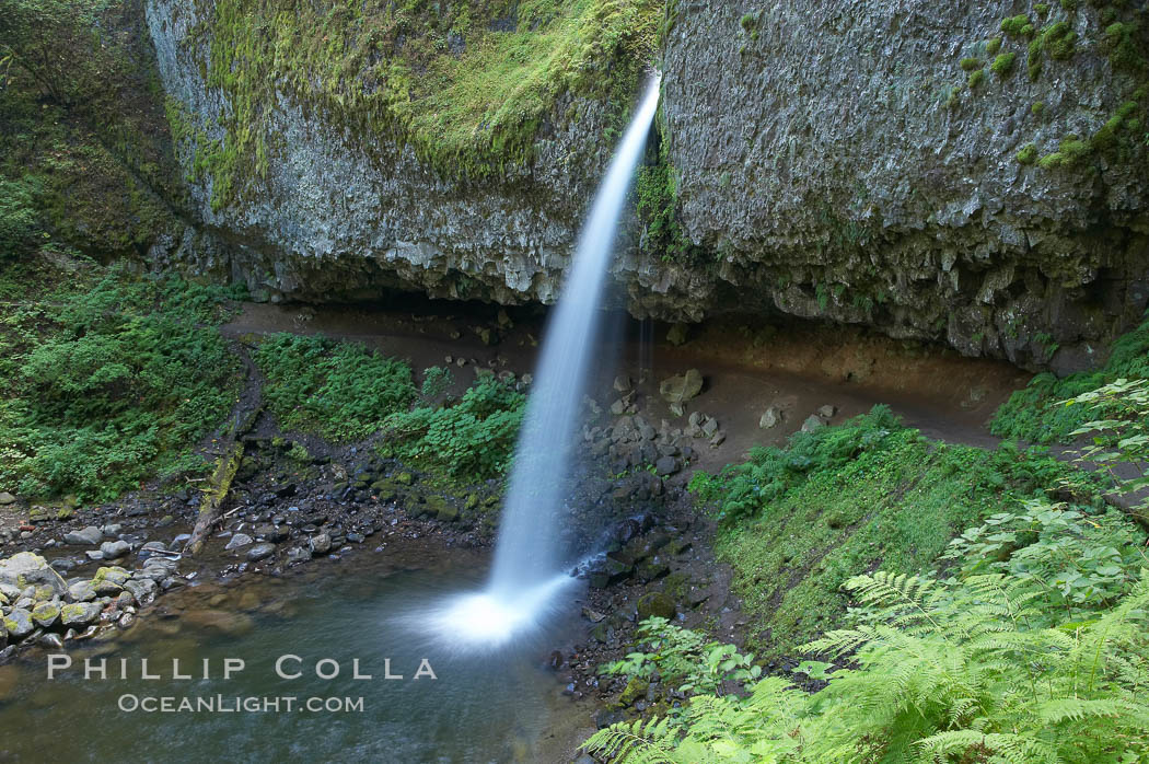 Ponytail Falls, where Horsetail Creeks drops 100 feet over an overhang below which hikers can walk, Columbia River Gorge National Scenic Area, Oregon