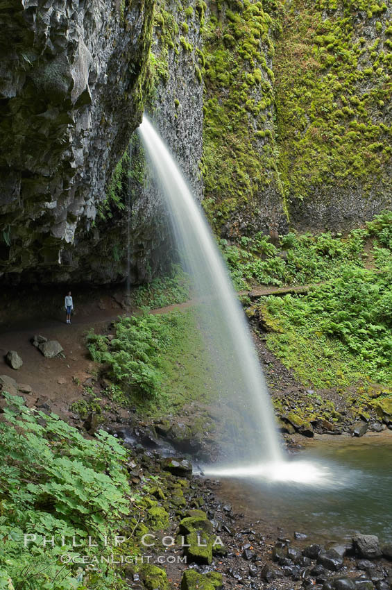 Ponytail Falls, where Horsetail Creeks drops 100 feet over an overhang below which hikers can walk. Columbia River Gorge National Scenic Area, Oregon, USA, natural history stock photograph, photo id 19335