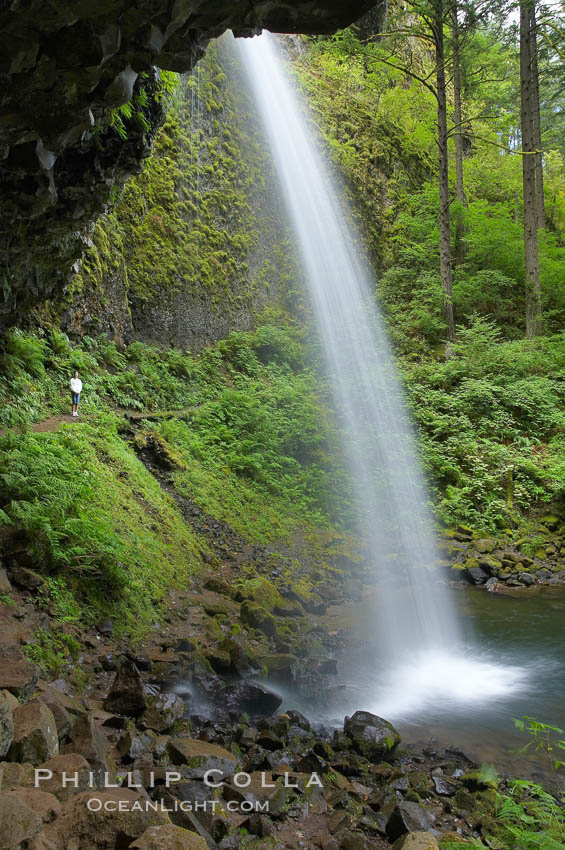 Ponytail Falls, where Horsetail Creeks drops 100 feet over an overhang below which hikers can walk, Columbia River Gorge National Scenic Area, Oregon