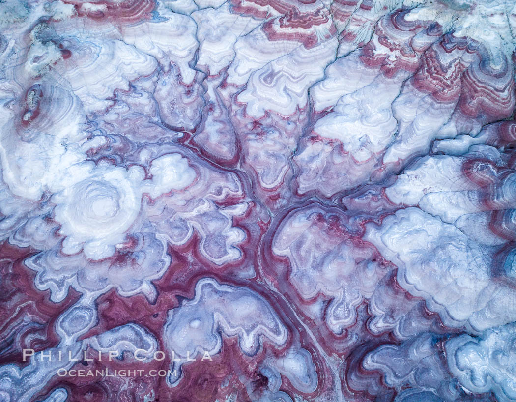 Pre-Dawn over the Tree of Eons, Utah. The Tree of Eons is a spectacular geologic sight near the San Rafael Swell.  Erosion has cut a "tree" through red, blue, purple and white layers of the Chinle formation. The Tree of Eons is a superb example of dendritic erosion and to really appreciate the complex fractal-like details it must be observed from above.  Photographed here in the soft, predawn light, it takes on magenta, red and purple hues just before the sun reaches it. Aerial panoramic photograph. USA, natural history stock photograph, photo id 38027