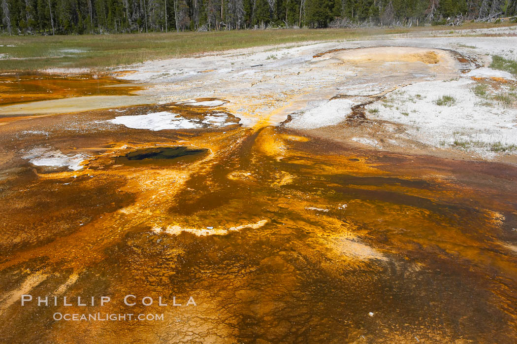 Colorful bacteria mats mark the hot water flowing from Pump Geyser. Upper Geyser Basin, Yellowstone National Park, Wyoming, USA, natural history stock photograph, photo id 13412