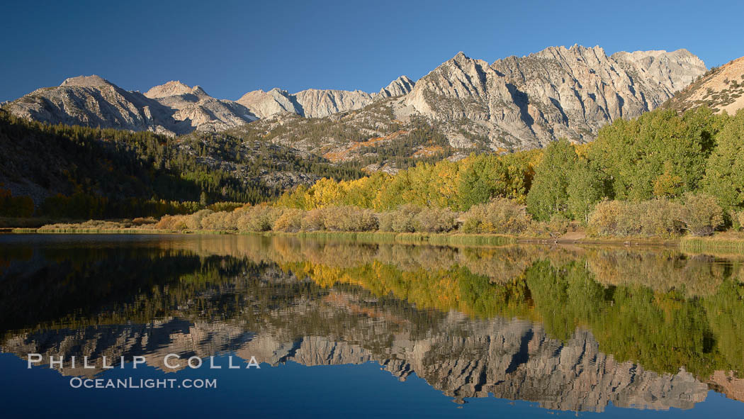 Aspen trees in fall, change in color to yellow, orange and red, reflected in the calm waters of North Lake. Bishop Creek Canyon, Sierra Nevada Mountains, California, USA, Populus tremuloides, natural history stock photograph, photo id 23388