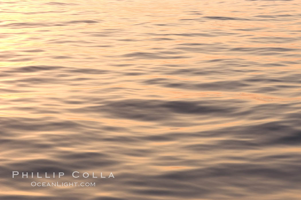 Sunset light is reflected on the placids waters. Bahamas, natural history stock photograph, photo id 10859