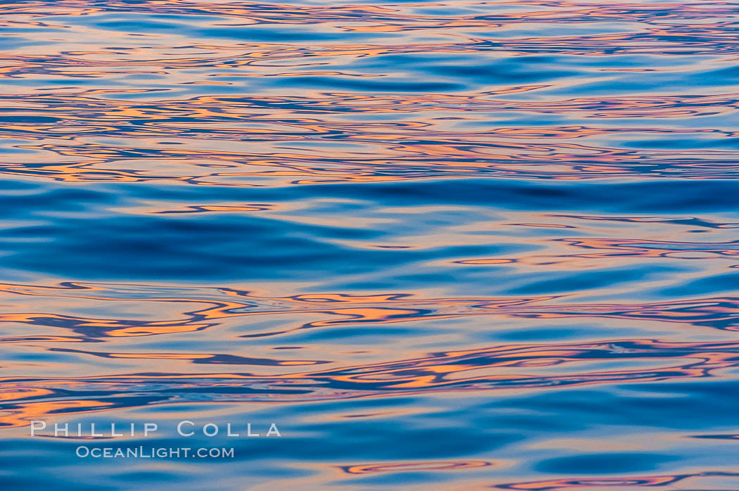 Sunset light is reflected on the placids waters. Bahamas, natural history stock photograph, photo id 10861
